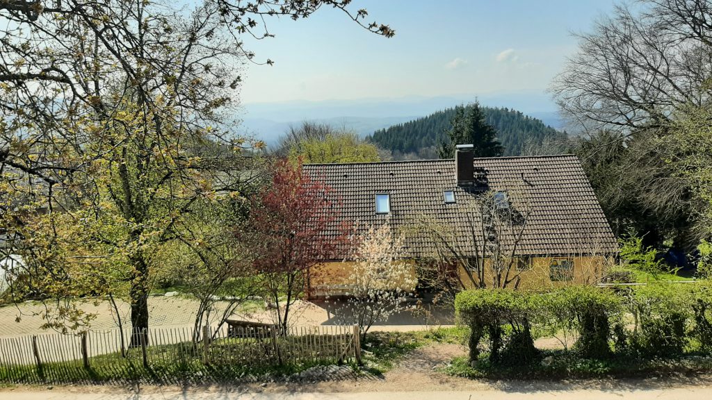 Haus Buche